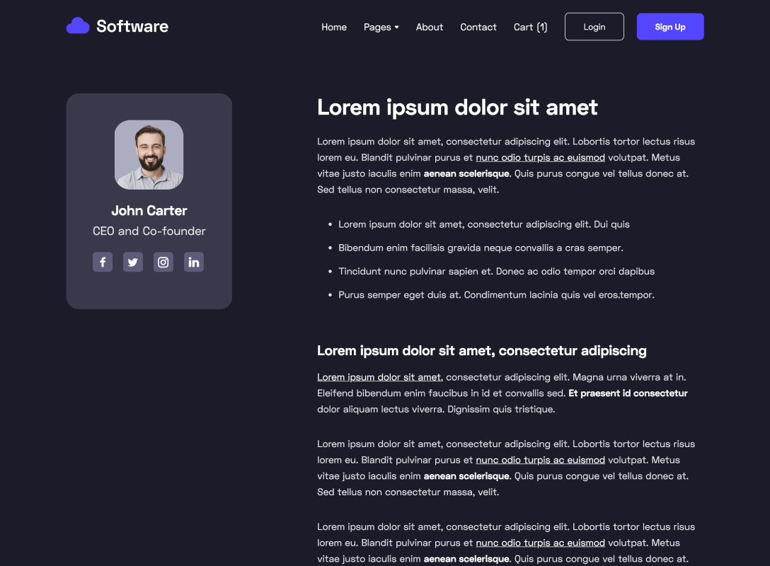 Team Member - Software Webflow Template