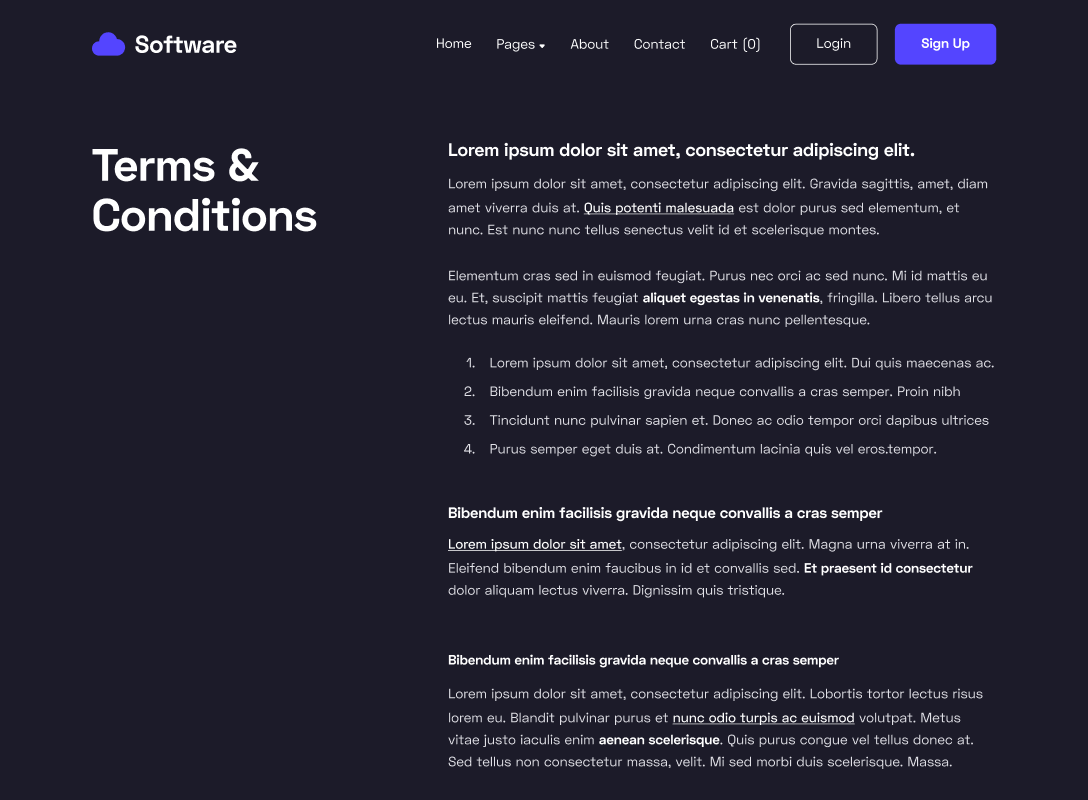 Terms and Conditions - Software Webflow Template